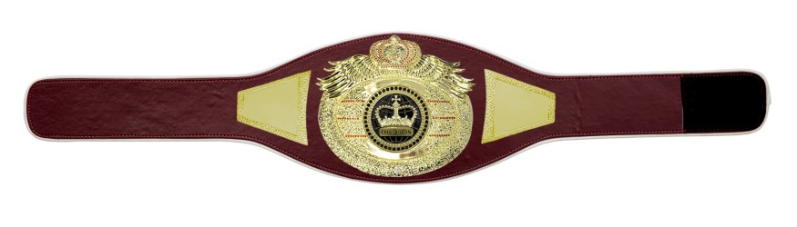 *NEW* PROICON CHAMPIONSHIP BELT/G/BLKGEM - AVAILABLE IN 6+ COLOURS